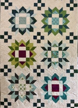 Fabric-Kit Carnival Quilt Base (just add a background) Twin or Lap Size